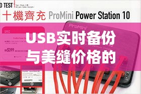 USB实时备份与美缝价格的深度探讨