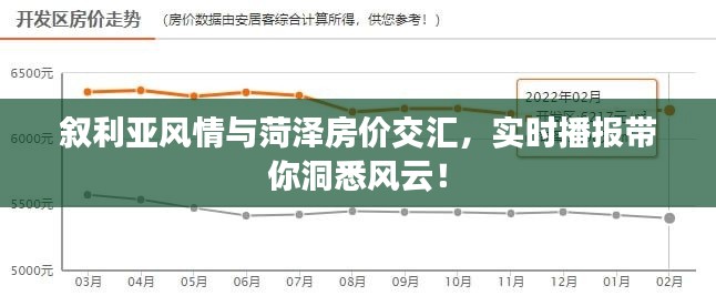 叙利亚风情与菏泽房价交汇，实时播报带你洞悉风云！