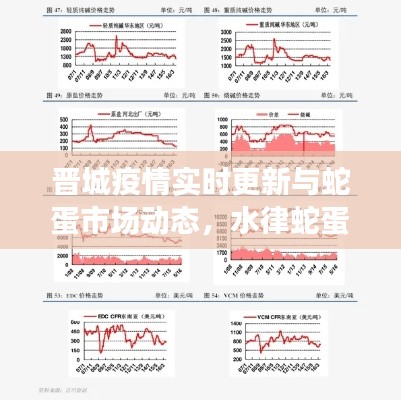 晋城疫情实时更新与蛇蛋市场动态，水律蛇蛋价格分析