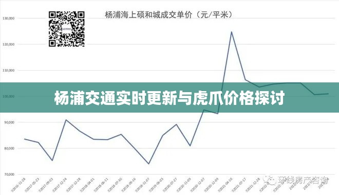 杨浦交通实时更新与虎爪价格探讨