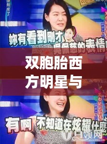 双胞胎西方明星与壳牌汽油最新价格交汇,热点背后的故事