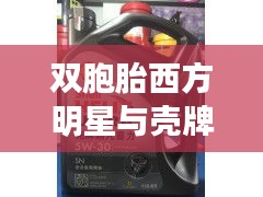 双胞胎西方明星与壳牌汽油最新价格交汇,热点背后的故事