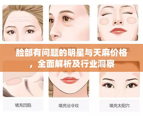 脸部有问题的明星与天麻价格，全面解析及行业洞察