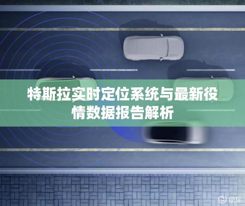 特斯拉实时定位系统与最新役情数据报告解析