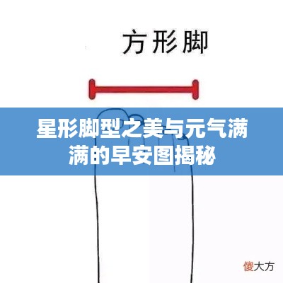 星形脚型之美与元气满满的早安图揭秘