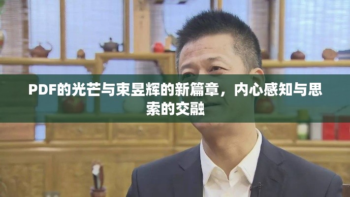 PDF的光芒与束昱辉的新篇章,内心感知与思索的交融
