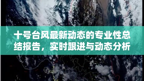 十号台风最新动态的专业性总结报告，实时跟进与动态分析