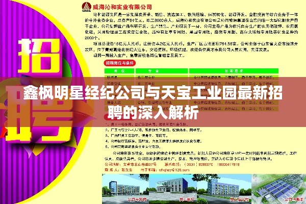 鑫枫明星经纪公司与天宝工业园最新招聘的深入解析