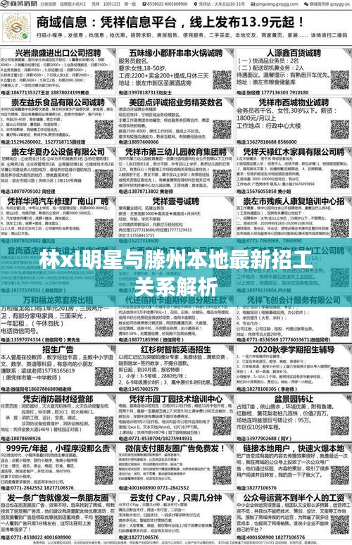 林xl明星与滕州本地最新招工关系解析