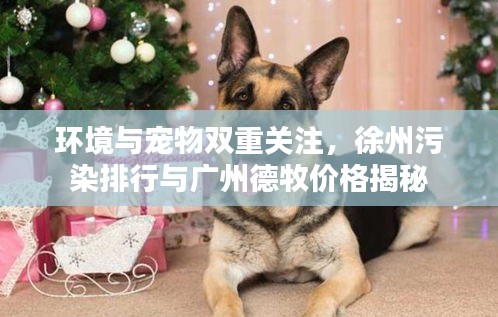 环境与宠物双重关注，徐州污染排行与广州德牧价格揭秘