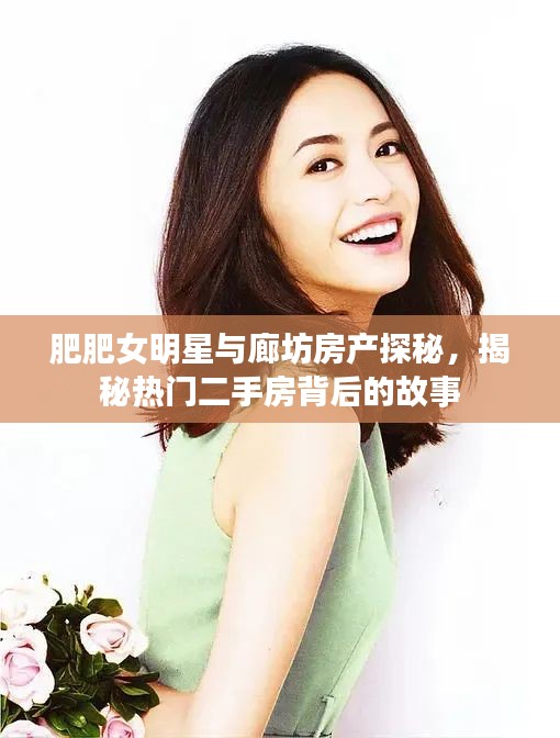 肥肥女明星与廊坊房产探秘，揭秘热门二手房背后的故事