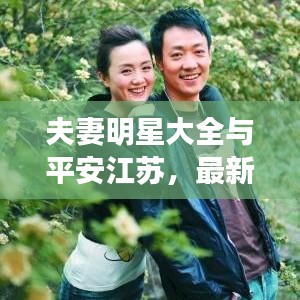 夫妻明星大全与平安江苏,最新观察思考成果揭秘