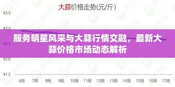 服务明星风采与大蒜行情交融，最新大蒜价格市场动态解析