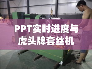 PPT实时进度与虎头牌套丝机,高效生产选择及价格一览