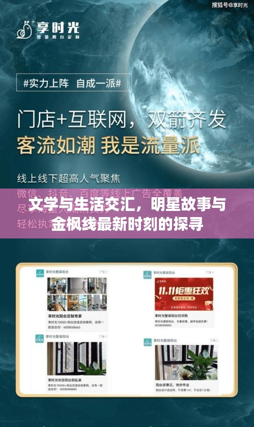 文学与生活交汇,明星故事与金枫线最新时刻的探寻