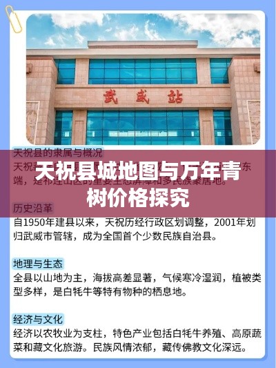 天祝县城地图与万年青树价格探究