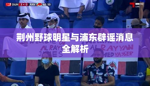 荆州野球明星与浦东辟谣消息全解析