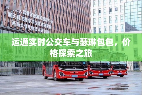 运通实时公交车与瑟琳包包，价格探索之旅
