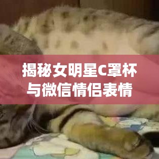 揭秘女明星C罩杯与微信情侣表情包最新版,关键词解读与防范虚假宣传