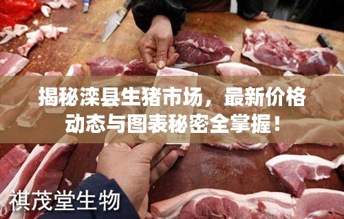 揭秘滦县生猪市场,最新价格动态与图表秘密全掌握!