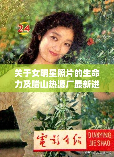 关于女明星照片的生命力及腊山热源厂最新进展的探讨