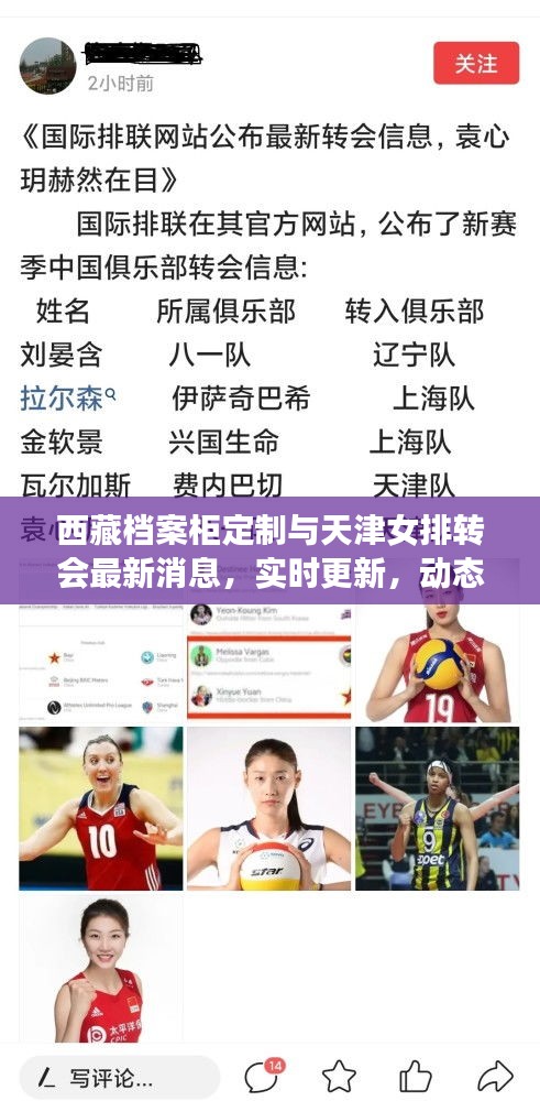 西藏档案柜定制与天津女排转会最新消息，实时更新，动态全掌握！