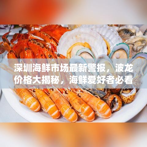 深圳海鲜市场最新警报，波龙价格大揭秘，海鲜爱好者必看！