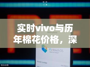 实时vivo与历年棉花价格，深度解析、应用指南与防范策略