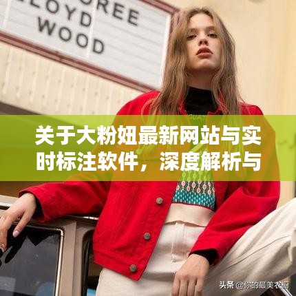 关于大粉妞最新网站与实时标注软件，深度解析与虚假宣传警惕