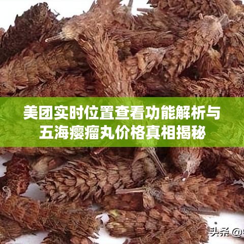 美团实时位置查看功能解析与五海瘿瘤丸价格真相揭秘