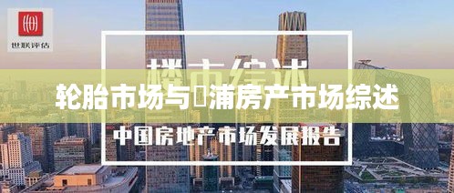 轮胎市场与澥浦房产市场综述