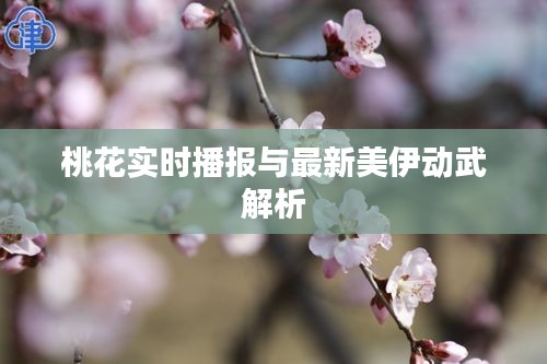 桃花实时播报与最新美伊动武解析