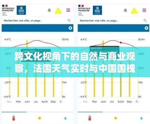跨文化视角下的自然与商业观察，法国天气实时与中国国槐米价格探析