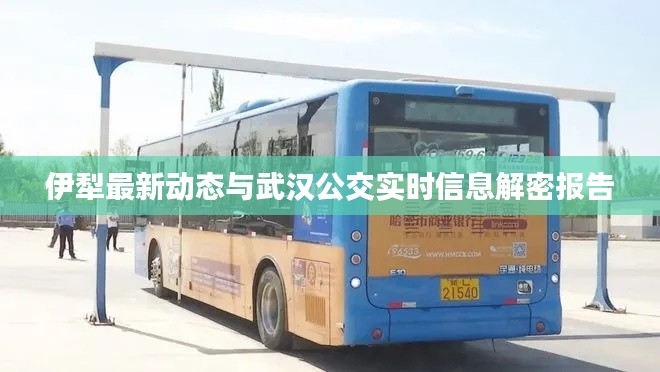 伊犁最新动态与武汉公交实时信息解密报告