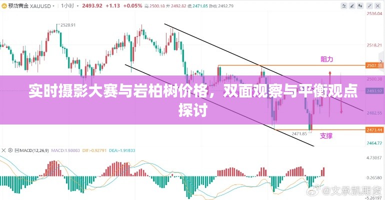 实时摄影大赛与岩柏树价格,双面观察与平衡观点探讨