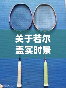 关于若尔盖实时景色与李宁羽毛球拍价格表的探讨