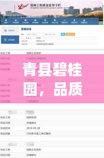 青县碧桂园，品质生活与票房热点同步更新