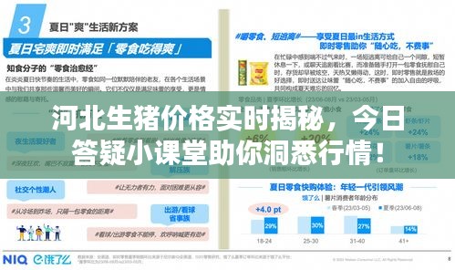 河北生猪价格实时揭秘，今日答疑小课堂助你洞悉行情！