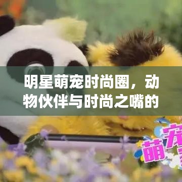 明星萌宠时尚圈，动物伙伴与时尚之嘴的星动态