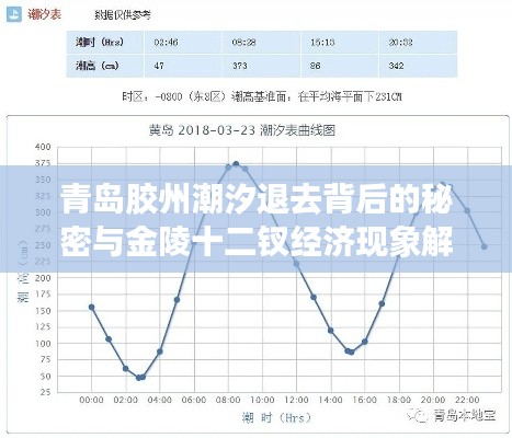 青岛胶州潮汐退去背后的秘密与金陵十二钗经济现象解读