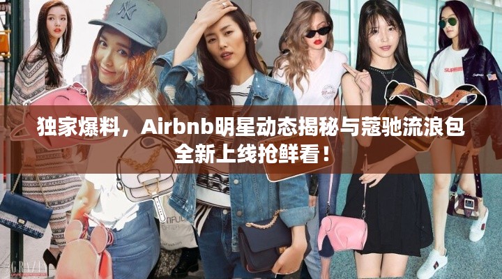 独家爆料,Airbnb明星动态揭秘与蔻驰流浪包全新上线抢鲜看!