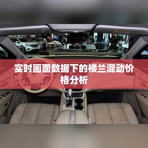 实时画面数据下的楼兰混动价格分析