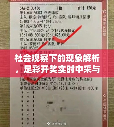 社会观察下的现象解析,足彩开奖实时中采与最新怡红院网址观察