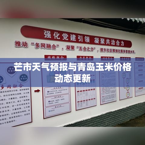 芒市天气预报与青岛玉米价格动态更新