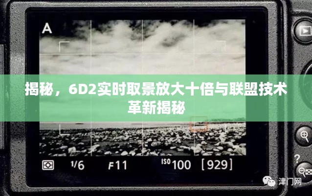 揭秘,6D2实时取景放大十倍与联盟技术革新揭秘