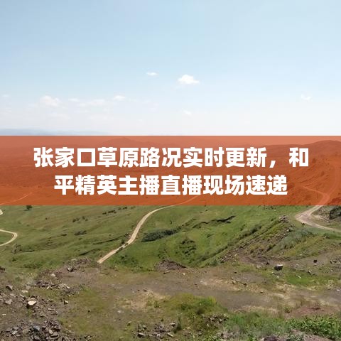 张家口草原路况实时更新，和平精英主播直播现场速递