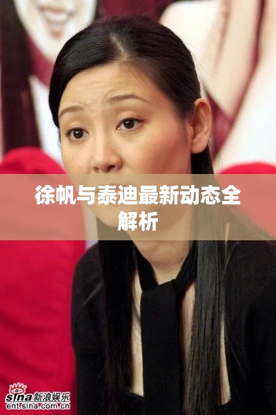 徐帆与泰迪最新动态全解析