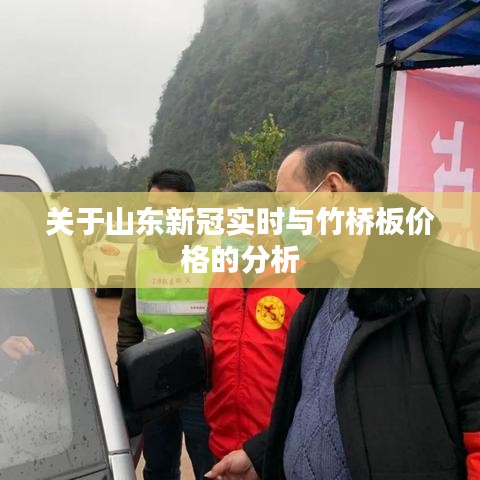 关于山东新冠实时与竹桥板价格的分析