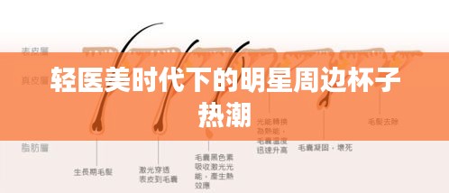 轻医美时代下的明星周边杯子热潮