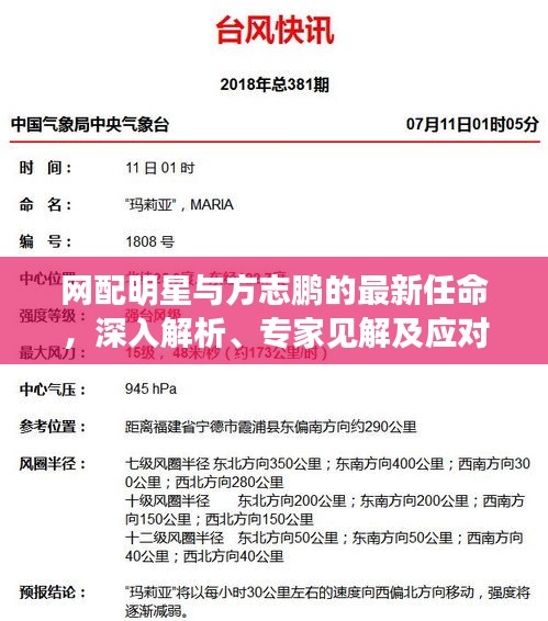 网配明星与方志鹏的最新任命，深入解析、专家见解及应对指南